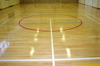 finsihed courtmarking.jpg